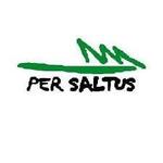 Per Saltus