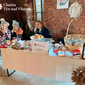 Týn nad Vltavou, Výroční zpráva 2024 