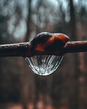 DOMINO - FOTOGRAFICKÁ SOUTĚŽ NA TÉMA „POCITY“